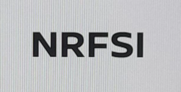 NISSAN RENAULT FINANCIAL SERVICES INDIA PRIVATE LIMITED LOGO
